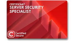 cs-server-security-specialist